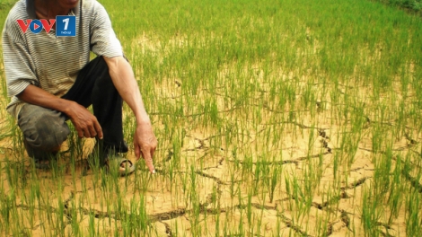 Môi trường và phát triển ngày 09/3/2015: Hạn hán ở miền Trung và công tác thích ứng.