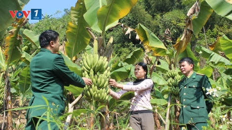 Tâm tình biên giới và hải đảo ngày 11/4/2015: Cán bộ chiến sĩ biên phòng giúp dân nghèo nơi biên giới phát triển kinh tế, ổn định cuộc sống.