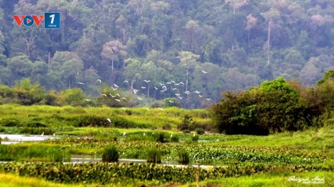 Môi trường và phát triển ngày 16/4/2015: Khai thác tài nguyên như thế nào để vừa đáp ứng nhu cầu phát triển vừa bảo toàn được đa dạng sinh học.