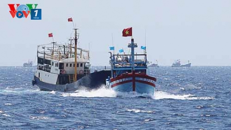 Biển đảo Việt Nam ngày 26/4/2015: Tai nạn nghề cá trên biển - đáng lo ngại.