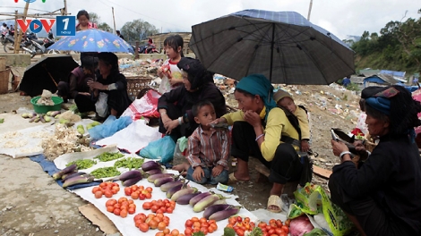 Kinh tế ngày 04/4/2015: Ngân hàng Nhà nước hỗ trợ nguồn vốn phát triển kinh tế xã hội Tây Bắc.