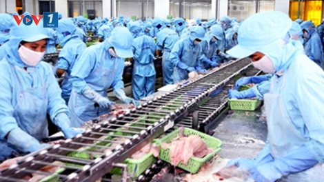 Thời sự chiều ngày 04/4/2015: Brazil cấp giấy phép nhập khẩu trở lại đối với mặt hàng thủy sản và các sản phẩm nuôi trồng, đánh bắt từ Việt Nam.