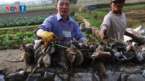 Khoa học và công nghệ ngày 01/5/2015: Cần có cơ chế chính sách phát huy sức sáng tạo của các nhà khoa học không chuyên.