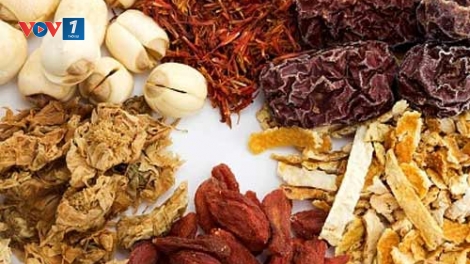 Chuyên gia của bạn ngày 01/5/2015: Nam dược – sử dụng như thế nào cho hiệu quả