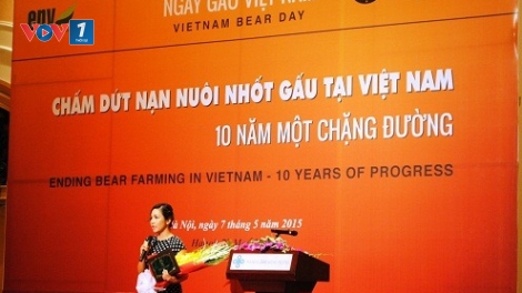 Môi trường và phát triển ngày 18/5/2015: 10 năm chặng đường chấm dứt nuôi nhốt gấu tại Việt Nam.
