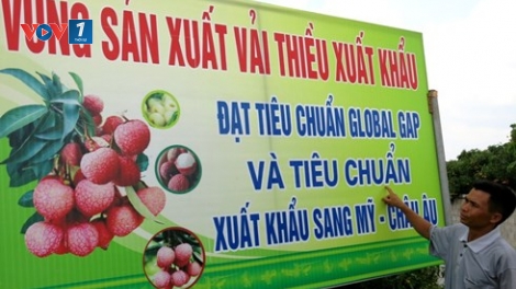 Gỡ khó cho tiêu thụ nông sản.