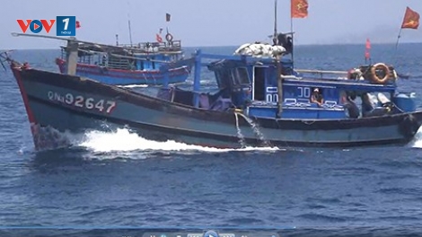 Thời sự đêm ngày 14/6/2015: Truy tìm tàu hàng đâm vỡ mạn trái tàu cá QNa 92647, khiến 1 ngư dân thiệt mạng, 3 người khác bị thương.