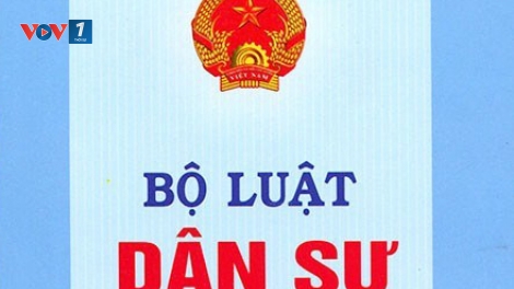 Tòa án có được quyền từ chối giải quyết vụ việc dân sự hay không? (Quốc hội với cử tri ngày 15/6/2015)