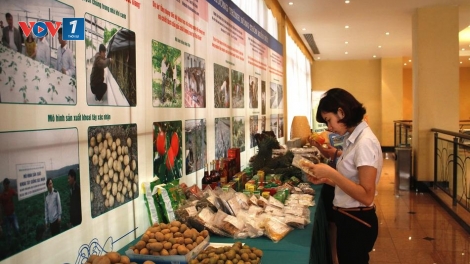 Nông thôn miền núi đổi thay nhờ khoa học công nghệ (Khoa học và công nghệ ngày 23/6/2015)
