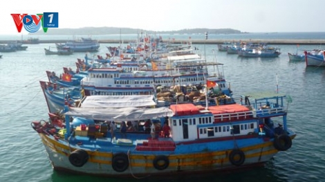 Tìm mô hình sản xuất hiệu quả cho ngư dân đánh bắt xa bờ (Biển đảo Việt Nam ngày 22/7/2015)