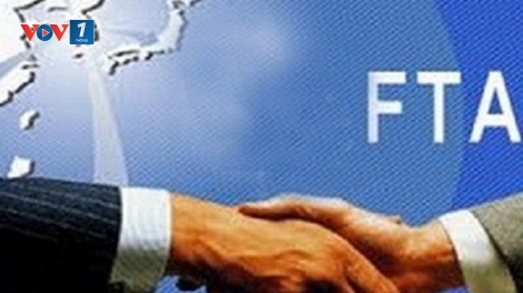 Gia nhập FTA: Cơ hội, thách thức nào cho các doanh nghiệp Việt Nam? (Chính phủ với người dân ngày 23/7/2015)