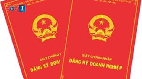 Những điểm mới trong Luật doanh nghiệp 2014 (Kinh tế ngày 4/7/2015)