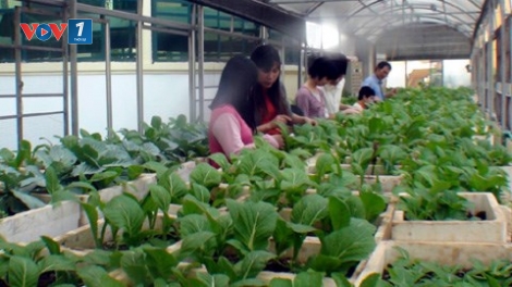 Doanh nghiệp xã hội: Lợi ích cộng đồng là trên hết (Chính phủ với người dân ngày 18/8/2015)