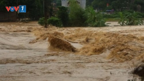 Thời sự đêm ngày 02/8/2015: Các tỉnh miền Bắc tiếp tục chìm trong mưa lũ. Tính đến hôm nay đã có 24 người chết và mất tích do mưa lũ