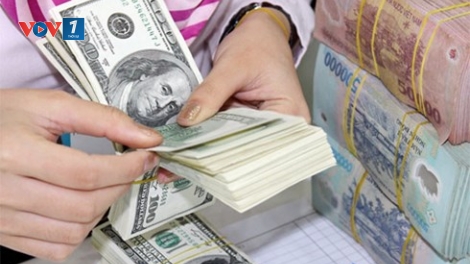 Cần có bảo hiểm rủi ro tỷ giá.