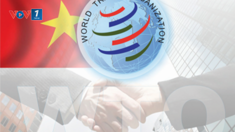 Làm rõ những yếu kém về thể chế sau 8 năm Việt Nam gia nhập Tổ chức Thương mại thế giới