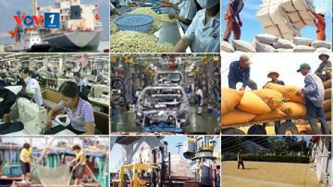 Vị thế của kinh tế tập thể.