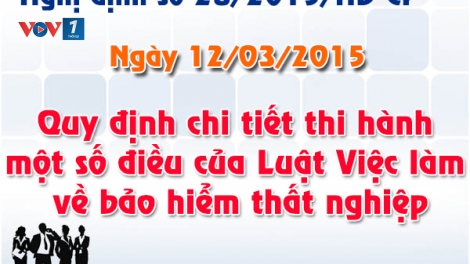 Tư vấn những quy định pháp luật về bảo hiểm thất nghiệp trong Luật Việc làm