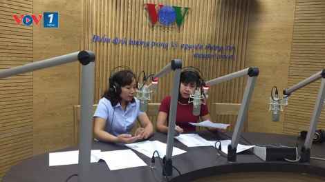 Tư vấn, hướng nghiệp và giới thiệu việc làm (15/10/2016)