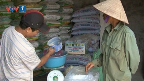 Lộn xộn thị trường phân bón (10/10/2016)