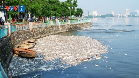 Môi trường Hà Nội sẽ ra sao khi “lá phổi” thành phố bị ô nhiễm? (04/10/2016)