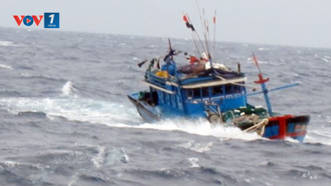Đảm bảo thông tin liên lạc tàu cá trong mùa mưa bão (9/10/2016)