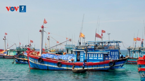 Ngư dân cần được trang bị những kỹ năng gì để vươn khơi an toàn (16/10/2016)