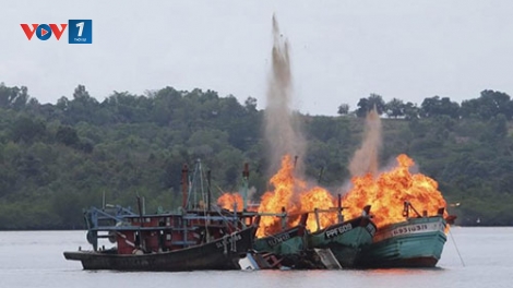 Hiểm họa của việc xâm phạm vùng biển nước ngoài khai thác hải sản trái phép (24/10/2016)