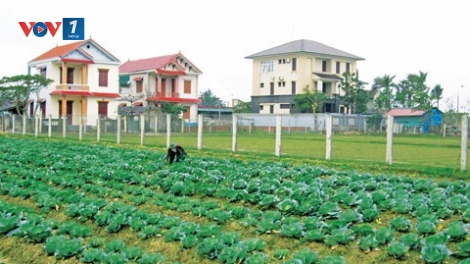 Xây dựng nông thôn mới phải thực chất (3/10/2016)