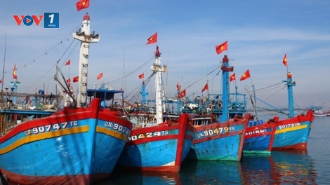 Nghị định 67: Tắc ở vốn vay (02/11/2016)