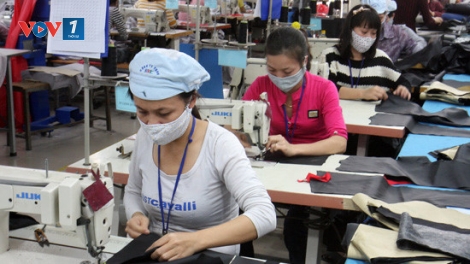 Quyết tâm hỗ trợ doanh nghiệp vừa và nhỏ (23/11/2016)