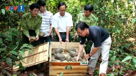 Huy động sự tham gia của người dân trong ngăn chặn buôn bán trái phép động thực vật hoang dã: Kinh nghiệm từ những mô hình tốt (21/11/2016)