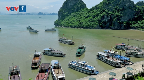 Dự án Luật Du lịch sửa đổi: Tạo điều kiện phát triển du lịch Việt Nam (22/11/2016)