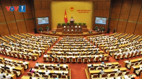 Hành động vì lợi ích của nhân dân (29/11/2016)