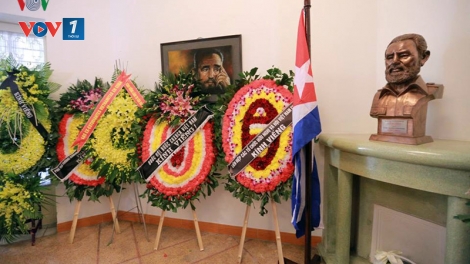 Việt Nam để tang Lãnh tụ Cuba Fidel Castro theo nghi thức quốc tang vào ngày 4/12/2016 (Thời sự đêm 28/11/2016)