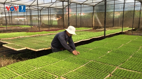 Kinh nghiệm sản xuất nông sản sạch (20/12/2016)