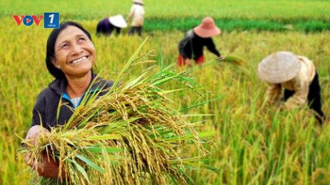Học cách làm nông cho chuyên nghiệp (14/12/2016)