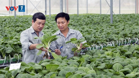 Tín dụng cho nông nghiệp sạch - hướng đi bền vững (21/12/2016)