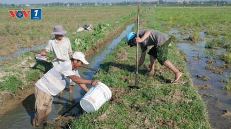 Dự thảo luật Thủy lợi với những quy định có lợi cho dân (15/12/2016)