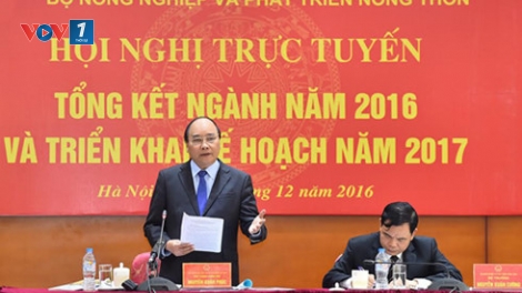 Tìm động lực cho phát triển nông nghiệp bền vững (27/12/2016)