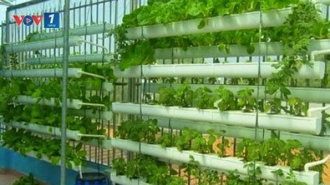 Trái ngọt của niềm tin (22/4/2016)