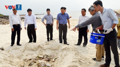 Không thể đánh đổi môi trường lấy phát triển kinh tế. (28/4/2016)