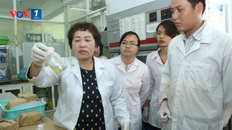 Phó Giáo sư - Tiến sĩ Đặng Thị Cẩm Hà với những mong mỏi sớm đưa ứng dụng công nghệ vào cuộc sống. (26/4/2016)