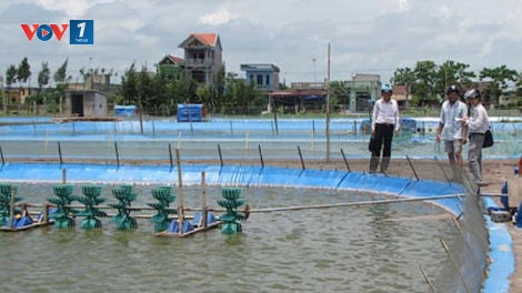 Ứng dụng hiệu quả khoa học công nghệ trong nuôi trồng thủy sản. (26/4/2016)