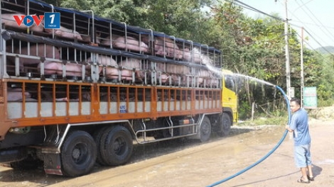 Để tránh đi vào vết xe đổ (17/5/2016)