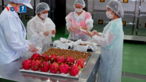 Ứng dụng khoa học công nghệ trong công nghệ bảo quản sau thu hoạch để nâng cao giá trị hàng nông sản xuất khẩu (27/5/2016)