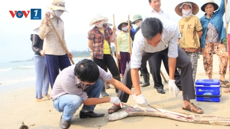 Bộ Khoa học và Công nghệ khẳng định đã có đủ căn cứ khoa học thuyết phục về nguyên nhân cá chết và kết luận cuối cùng sẽ sớm được công bố. (Thời sự đêm 14/5/2016)