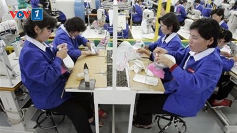 Tin vui cho người lao động Việt Nam vì đã nối lại thị trường lao động với Hàn Quốc (18/5/2016)