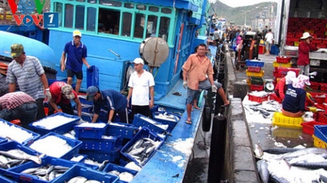 Trách nhiệm với cuộc sống của dân (9/5/2016)
