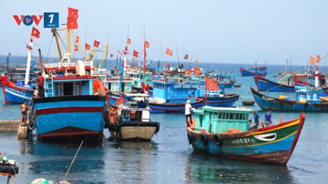 Phát triển kinh tế ven biển phải gắn với đảm bảo môi trường. (30/5/2016)